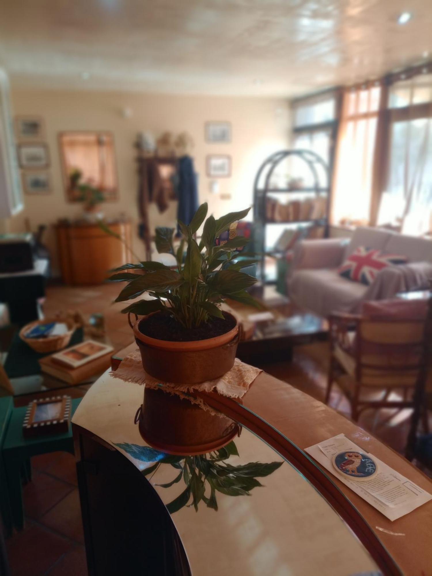 לינה וארוחת בוקר אגריג'נטו Casa Di Luca מראה חיצוני תמונה